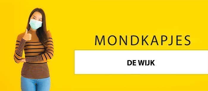 mondkapjes-kopen-de-wijk-7957