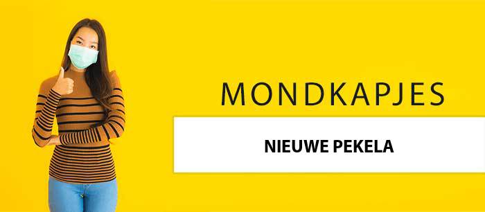 mondkapjes-kopen-nieuwe-pekela-9663